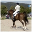 Reiten